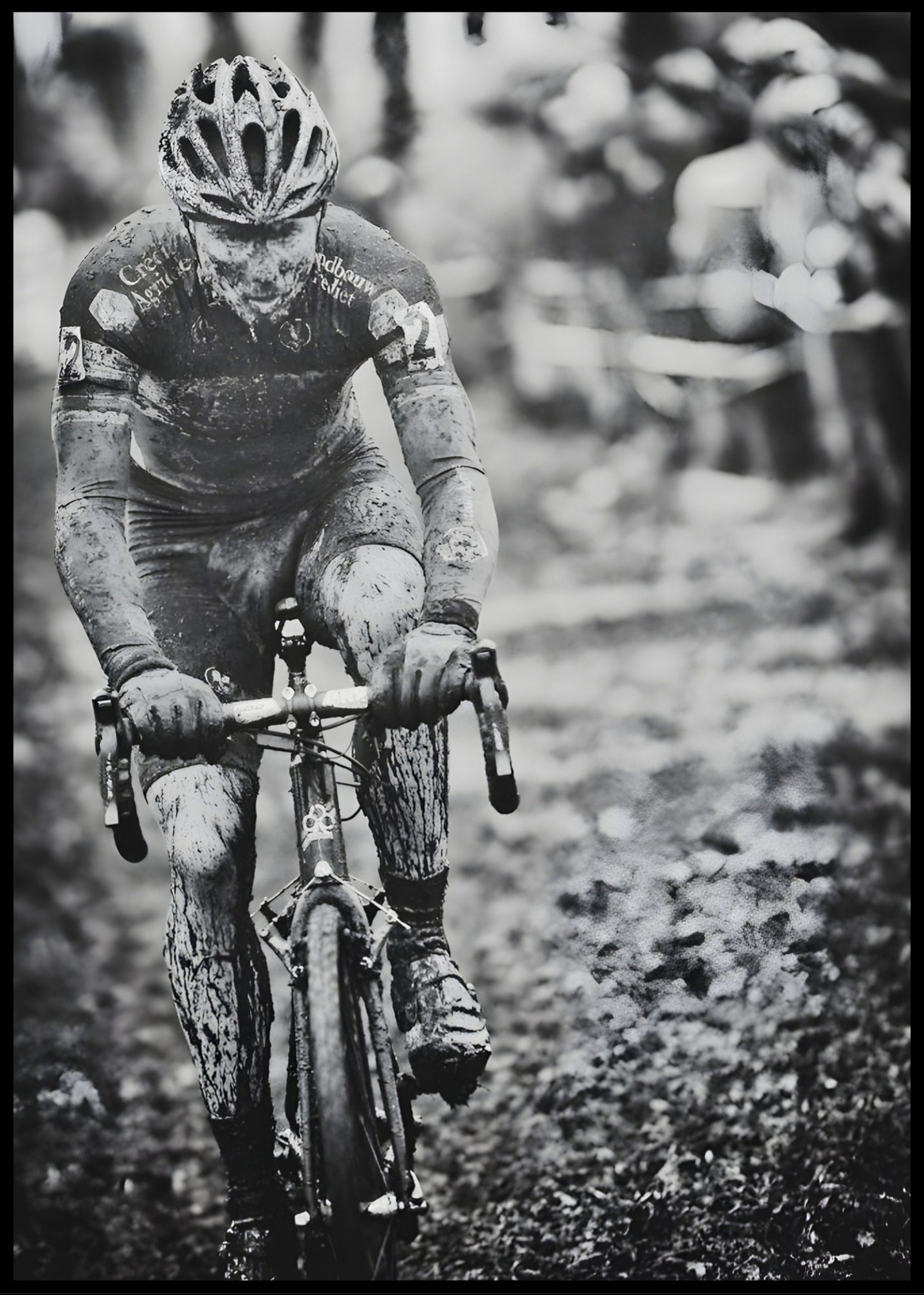 Sven Nys