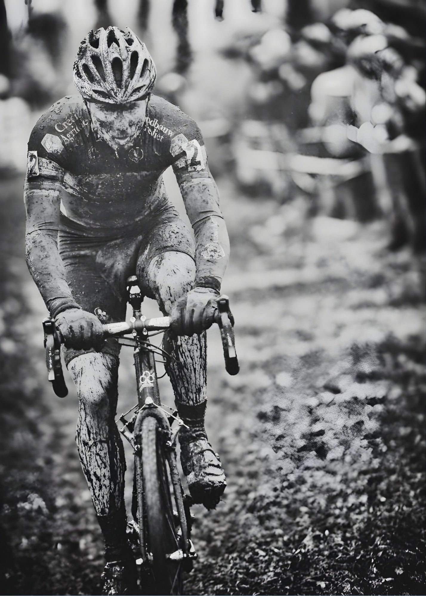 Sven Nys
