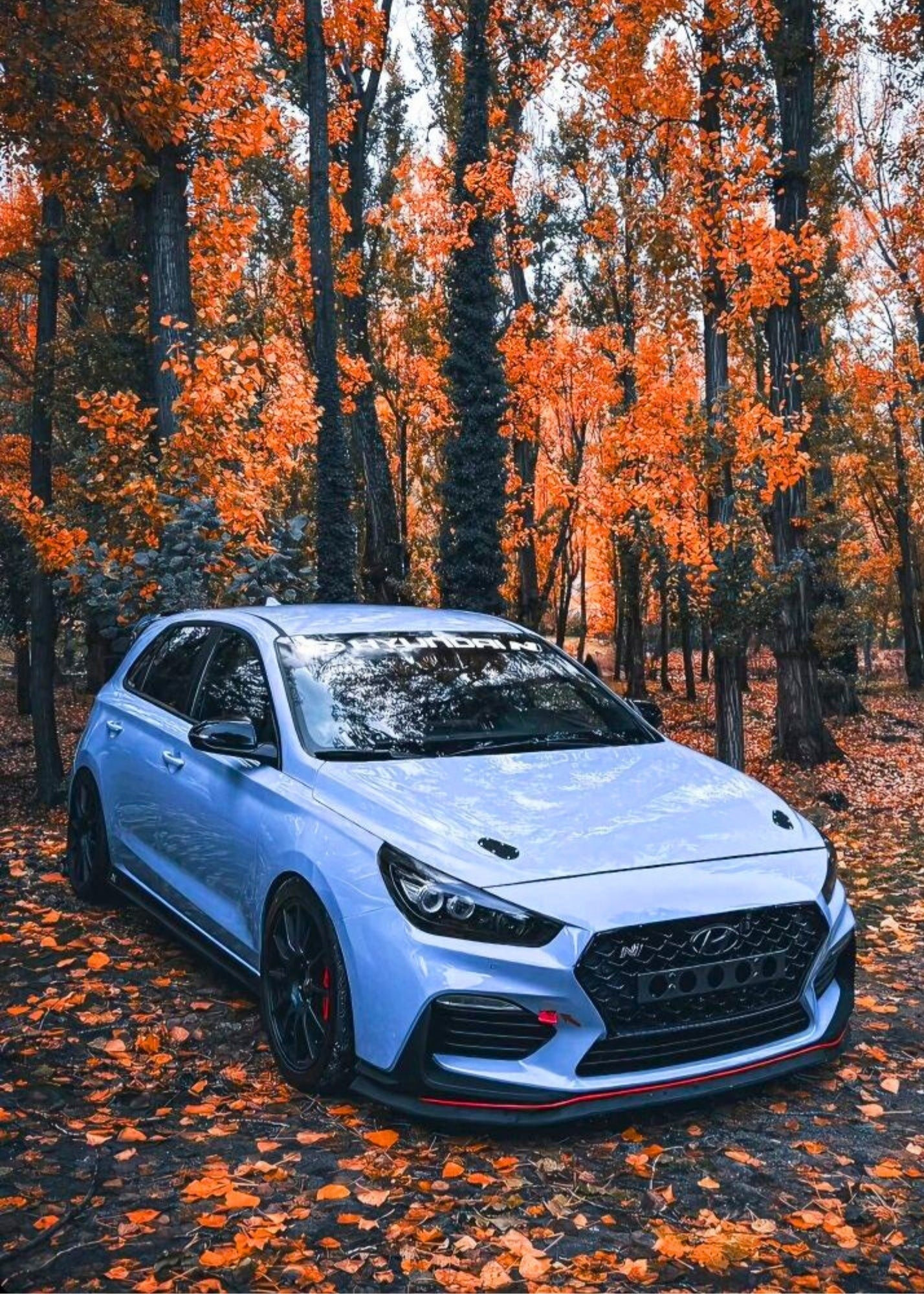 i30N