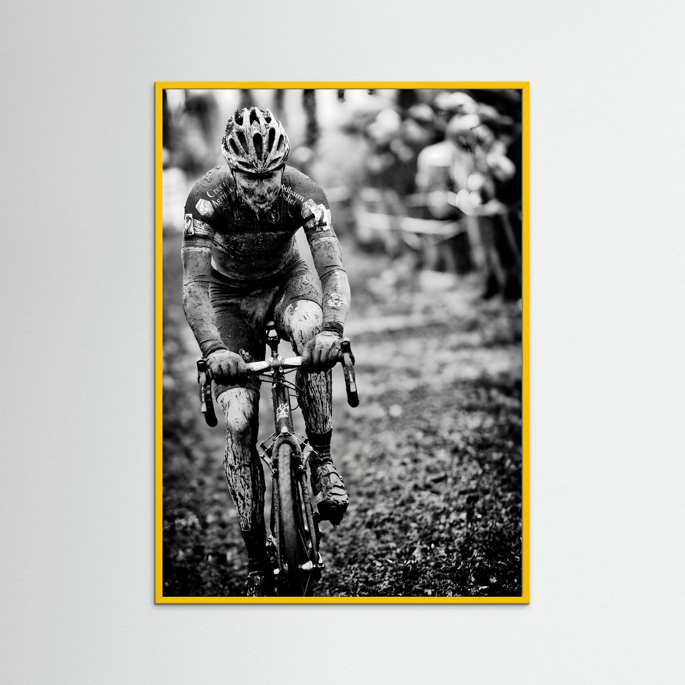 Sven Nys