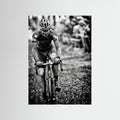 Sven Nys