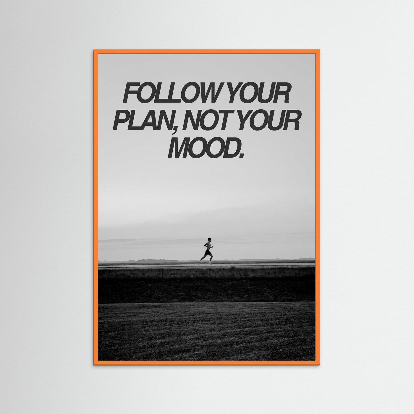 Follow your plan not your mood
